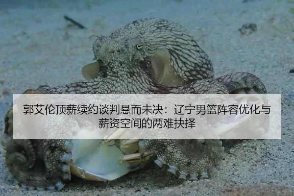 guo-ai-lun-ding-xin-xu-yue-tan-pan-xuan-er-wei-jue-liao-ning-nan-lan-zhen-rong-you-hua-yu-xin-zi-kong-jian-de-liang-nan-2-524.jpg
